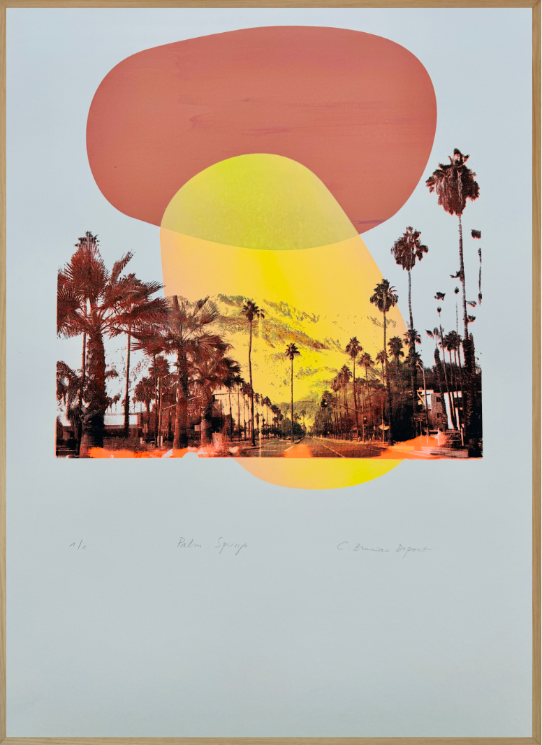 Christine Bruniau Dupont - Palm Springs I