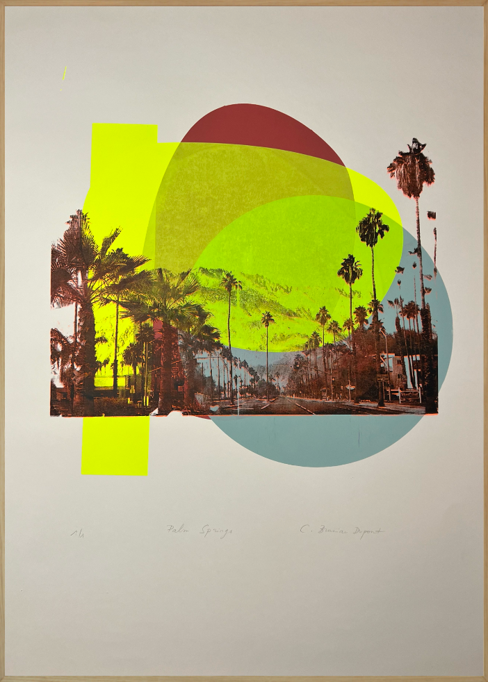 Christine Bruniau Dupont - Palm Springs III