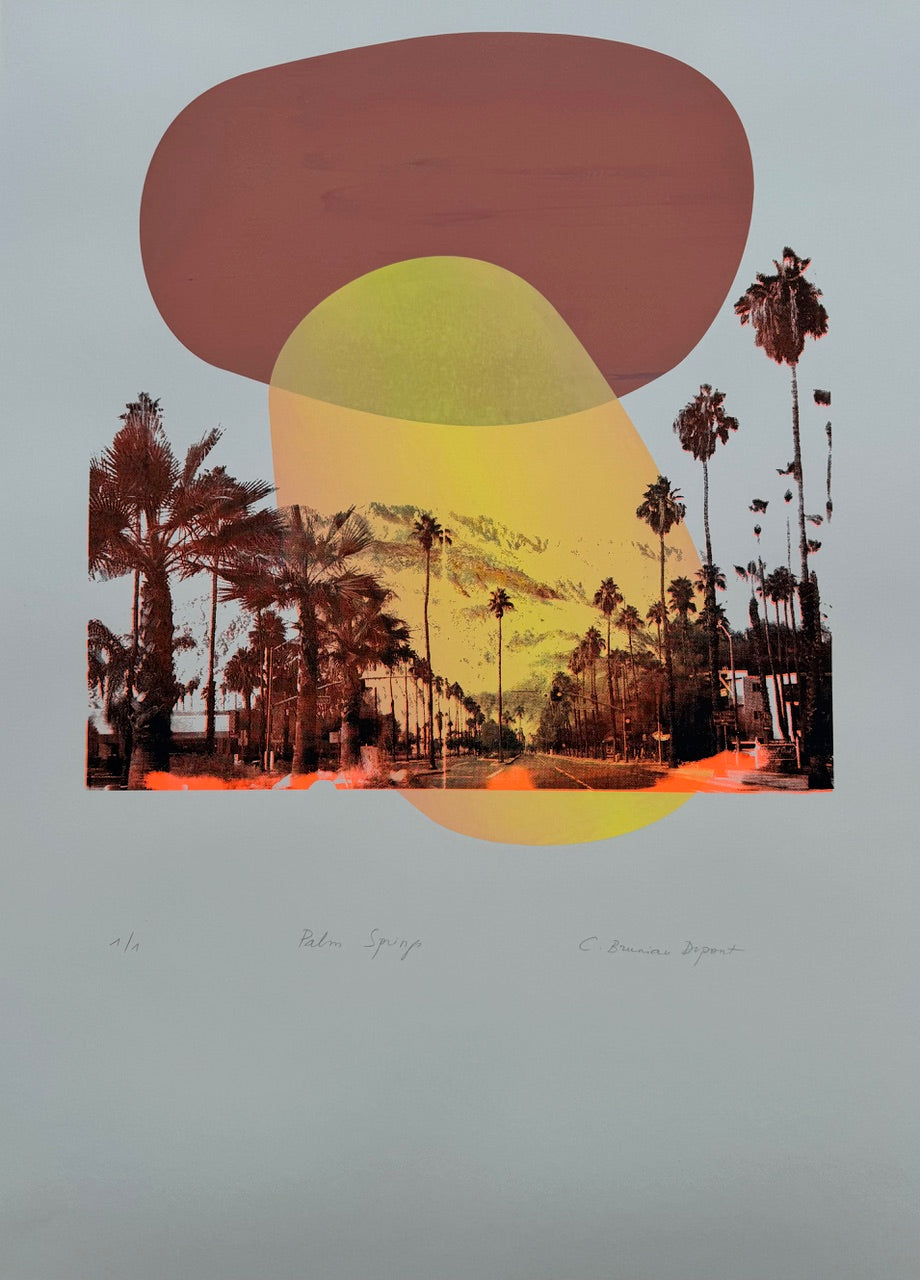 Christine Bruniau Dupont - Palm Springs I