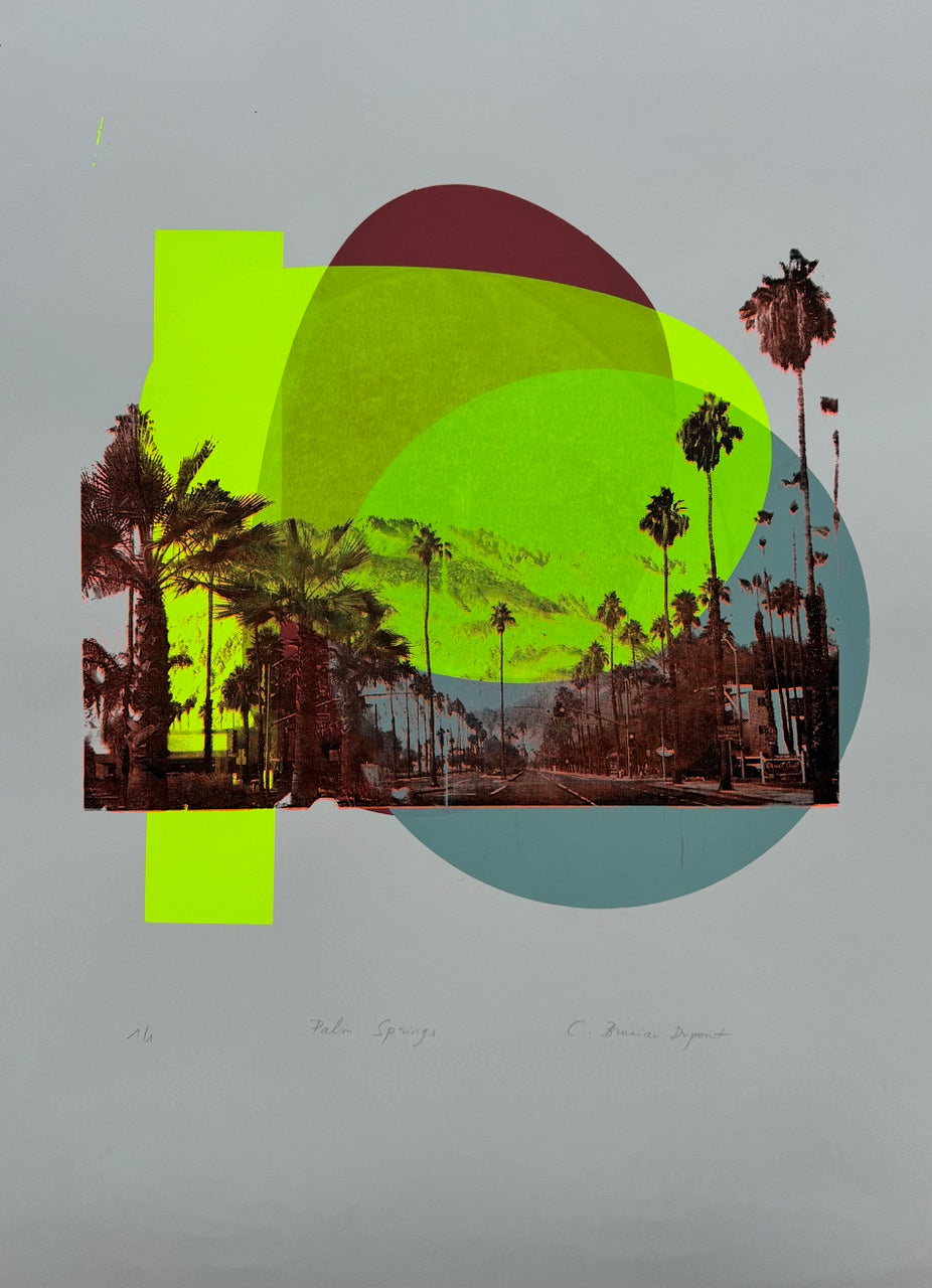 Christine Bruniau Dupont - Palm Springs III